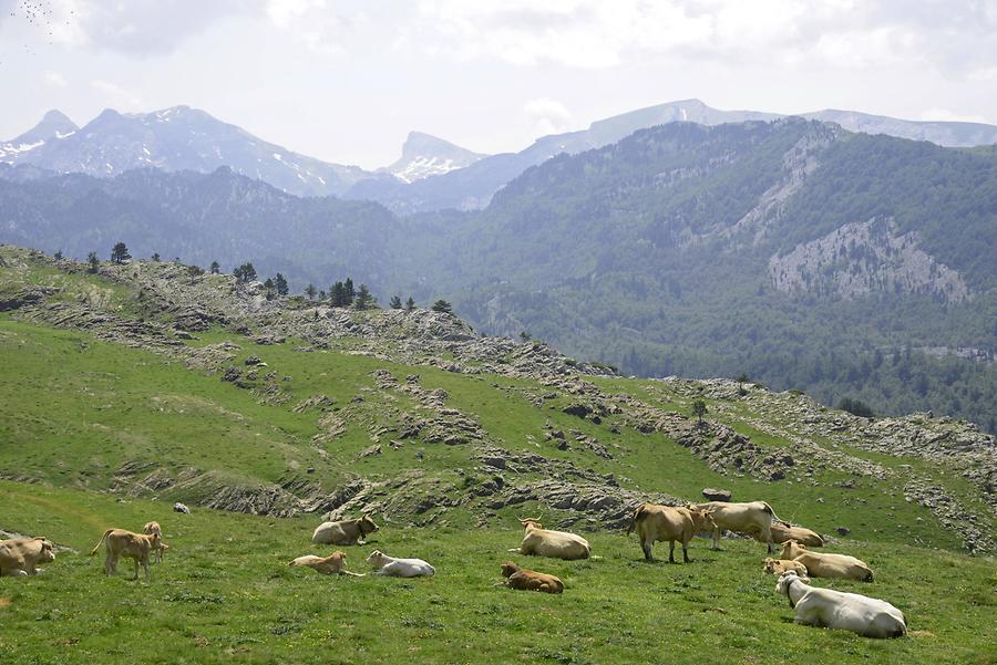 The Pyrenees Arette-Pierre-Saint-Martin