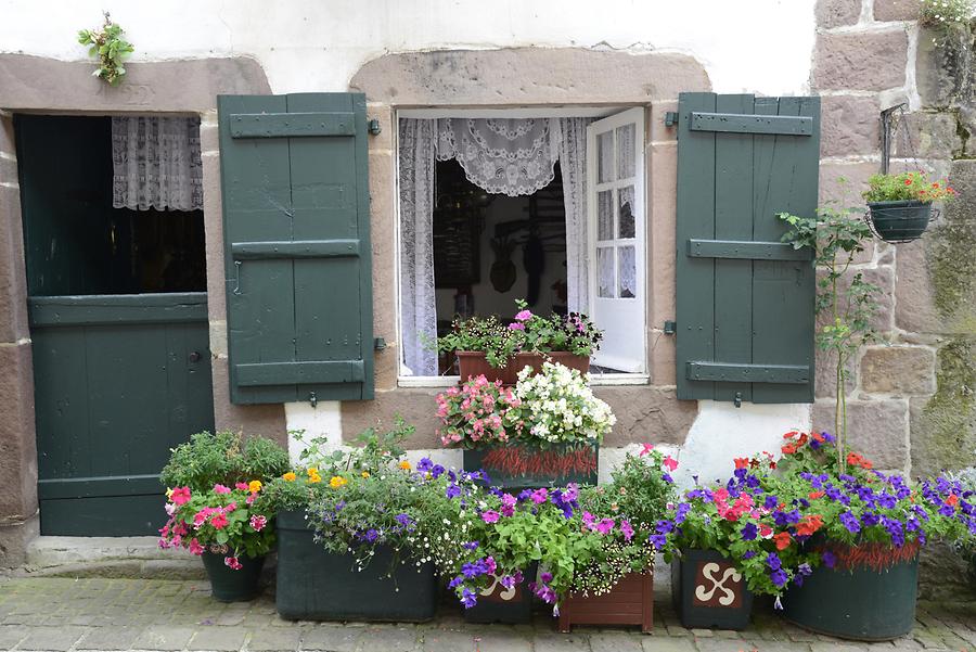 Flower Window