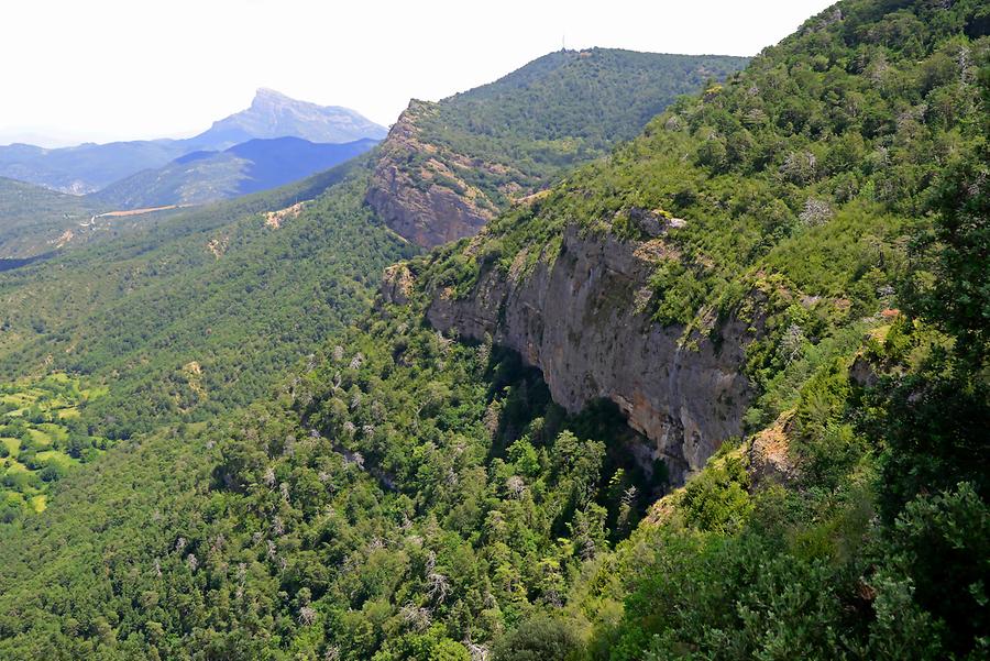 Pyrenees