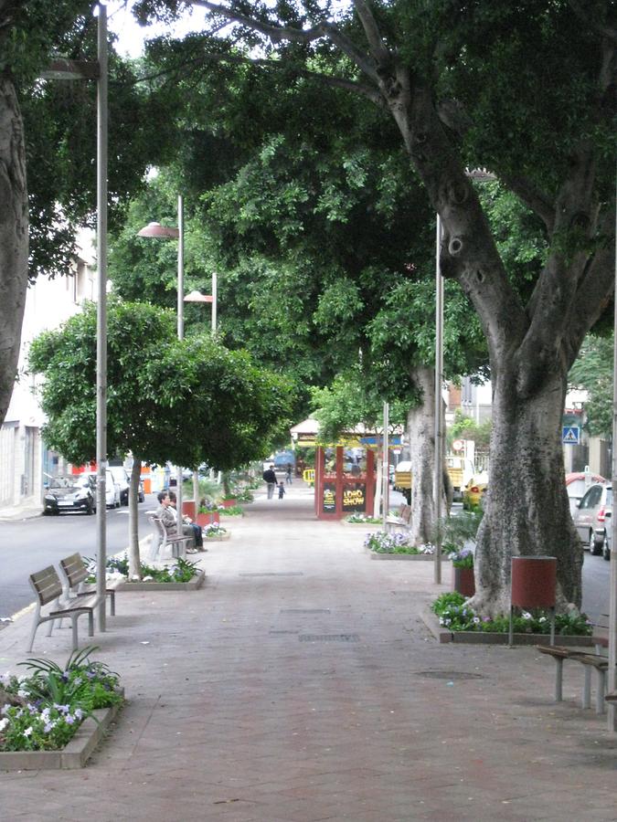 Santa Cruz deTenerife - Avenida de 25 de Julio