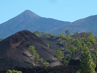 Tenerife