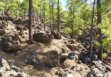 Tenerife