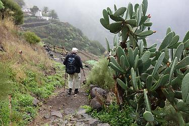 Tenerife