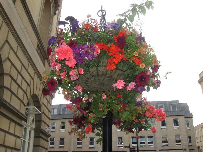 Hanging flower baskets in Bath