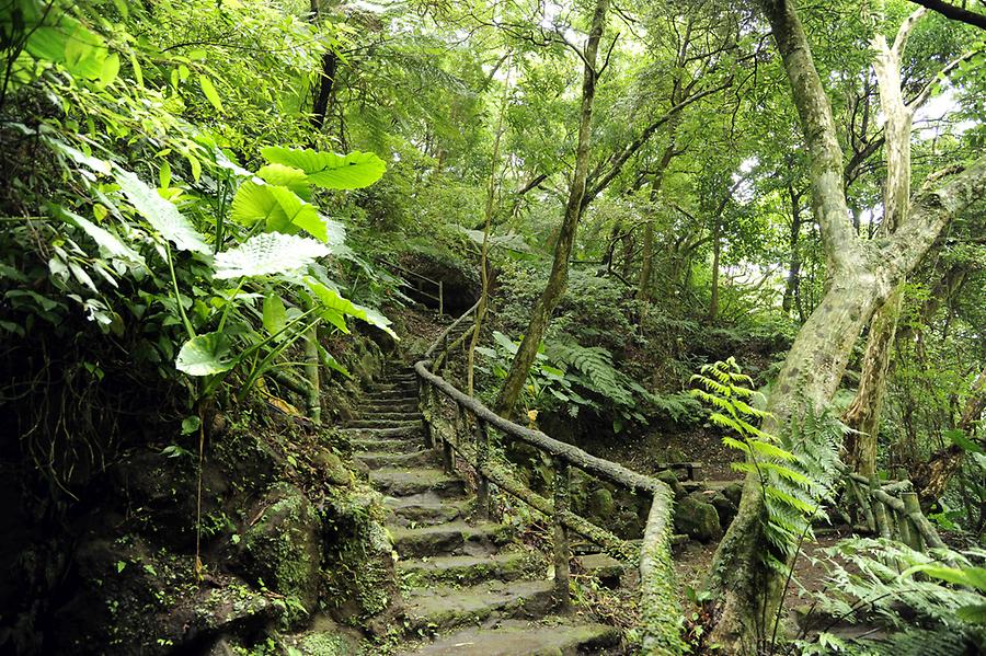 Yangmingshan National Park