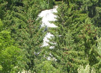 Schöder Wasserfall