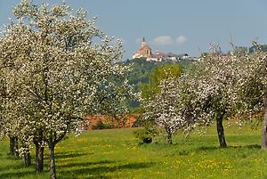 Wallfahrtskirche