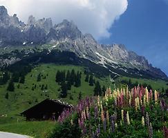 Hochkönig_von_Mühlbach