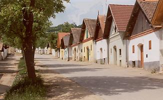 Kellergasse in Mailberg