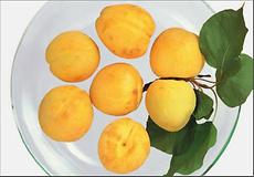 Alte Ananas Marille