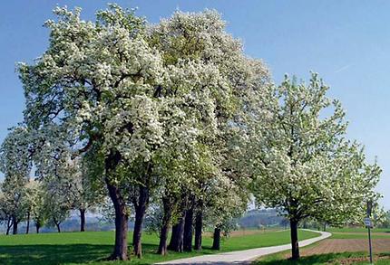 Naturpark Obst-Hügel-Land