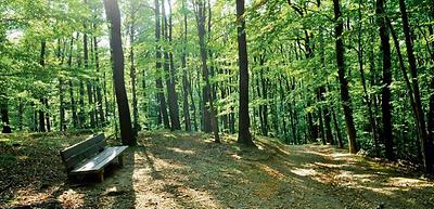 Naturpark Purkersdorf-Sandstein-Wienerwald