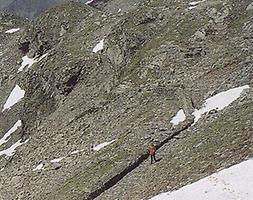 Lawinenlaufgänge der Steinernen Rinnen