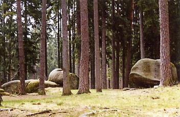 Wakelstein im Schremser Wald