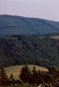 Wienerwald