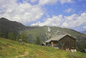 Lackner-Alm - Blick in die Schobergruppe.