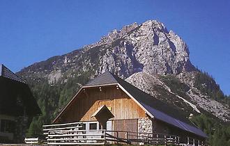 Tröpolacher-Alm mit Zweikofel.