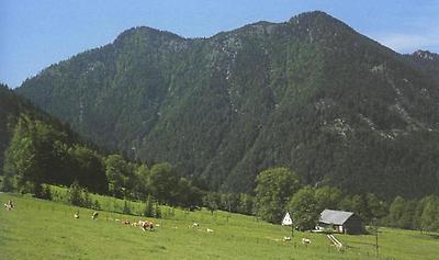 Schwölleckau-Alm bei Göstling