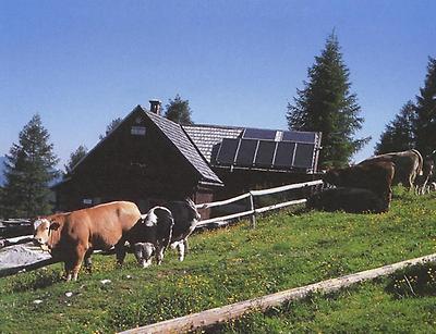 Gowil-Alm am Fuß des Gr. Pyhrgas