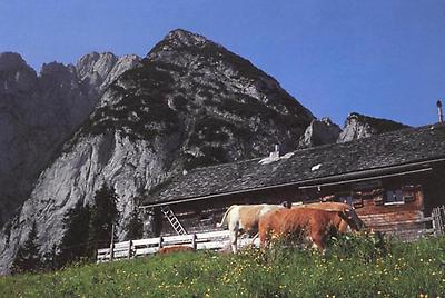 Breininghütte auf der Hohen Zwiesel-Alm