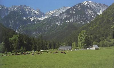 Laussabauern-Alm am Fuß der Haller Mauern