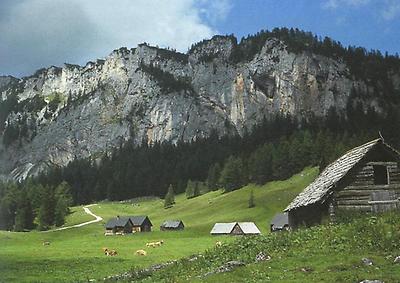 Wurzer-Alm am Warscheneck