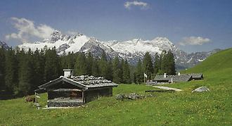 Kallbrunn-Alm gegen Leoganger Steinberge.