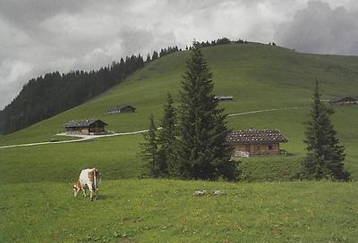 Auf der Loferer-Alm