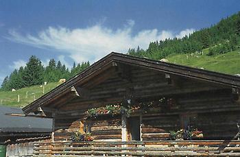 Die Pfeffer-Alm liegt im leicht erreichbaren Wandergebiet von Hinterglemm.