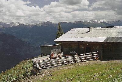 Die Au-Alm, hoch über Grßarl, ist über eine halsbrecherische Zufahrtsstraße zu erreichen.