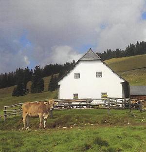 Grafen-Alm bei Seckau.