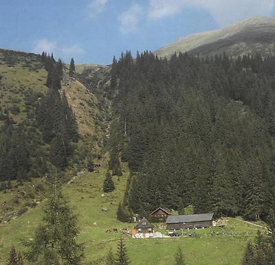 Die Winkler-Alm unterhalb des Sölkpasses.