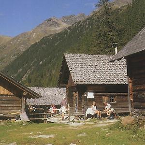 Royerhütte auf der Kot-Alm.