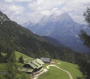 Grabner-Alm mit Gesäusebergen.