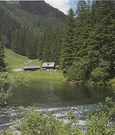 Die Harmer-Alm im Kleinsölktal.