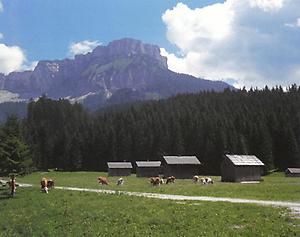 Die Hütten der Blaa-Alm an der Loser-Nordseite