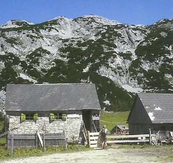 Die Losenbauer-Hütte auf der Tauplitz-Alm ist eine der ältesten Almhütten Österreichs.