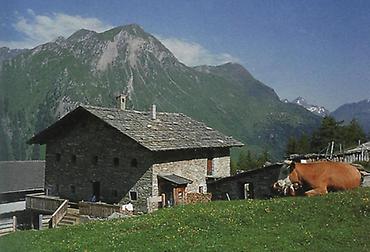 Auf der Inneren Steiner-Alm