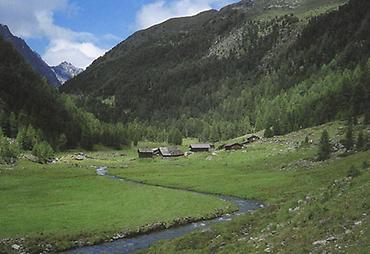 Untere Trojer-Alm bei St. Jakob i. D.