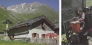 Eine der romantischen Hütten auf der Zedlacher-Alm wird als Jausenstation geführt. - Der Butter-Rührkübel wird am frischen Quellwasser gereinigt.