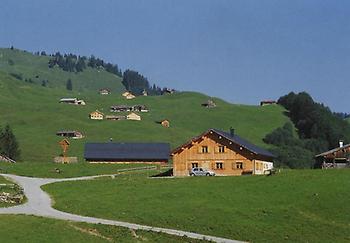Die Schalzbach-Vorsäß bildet eine Wirtschaftseinheit mit der Unteren Auenfeld-Alpe.