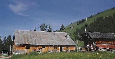 Im Bereich der Winterstaude liegt die zünftige Wildmoos-Alpe.