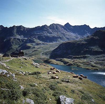 Giglachsee