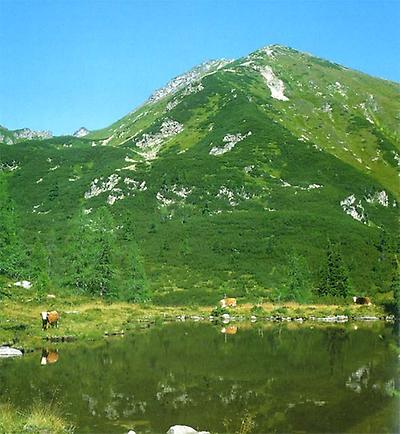 Großer Scheibelsee