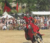 Jedes Jahr im August fühlt sich der Besucher in Jedenspeigen ins Mittelalter zurückversetzt. Das Fest soll an die berühmte Schlacht zwischen Ottokar und Rudolf von Habsburg erinnern.