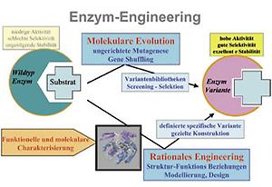 Bild '0304_CHEM_Know_How_Cluster_für_Molekulares_Engineering3'