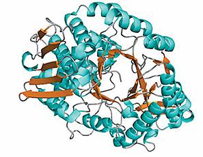 Saccharosephosphorylase