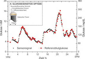 Zeitlicher Verlauf des Glukosespiegels