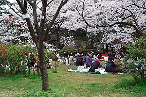 Hanami