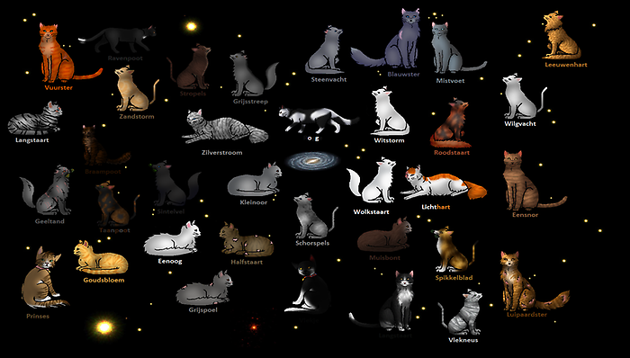 Bild Warrior Cats